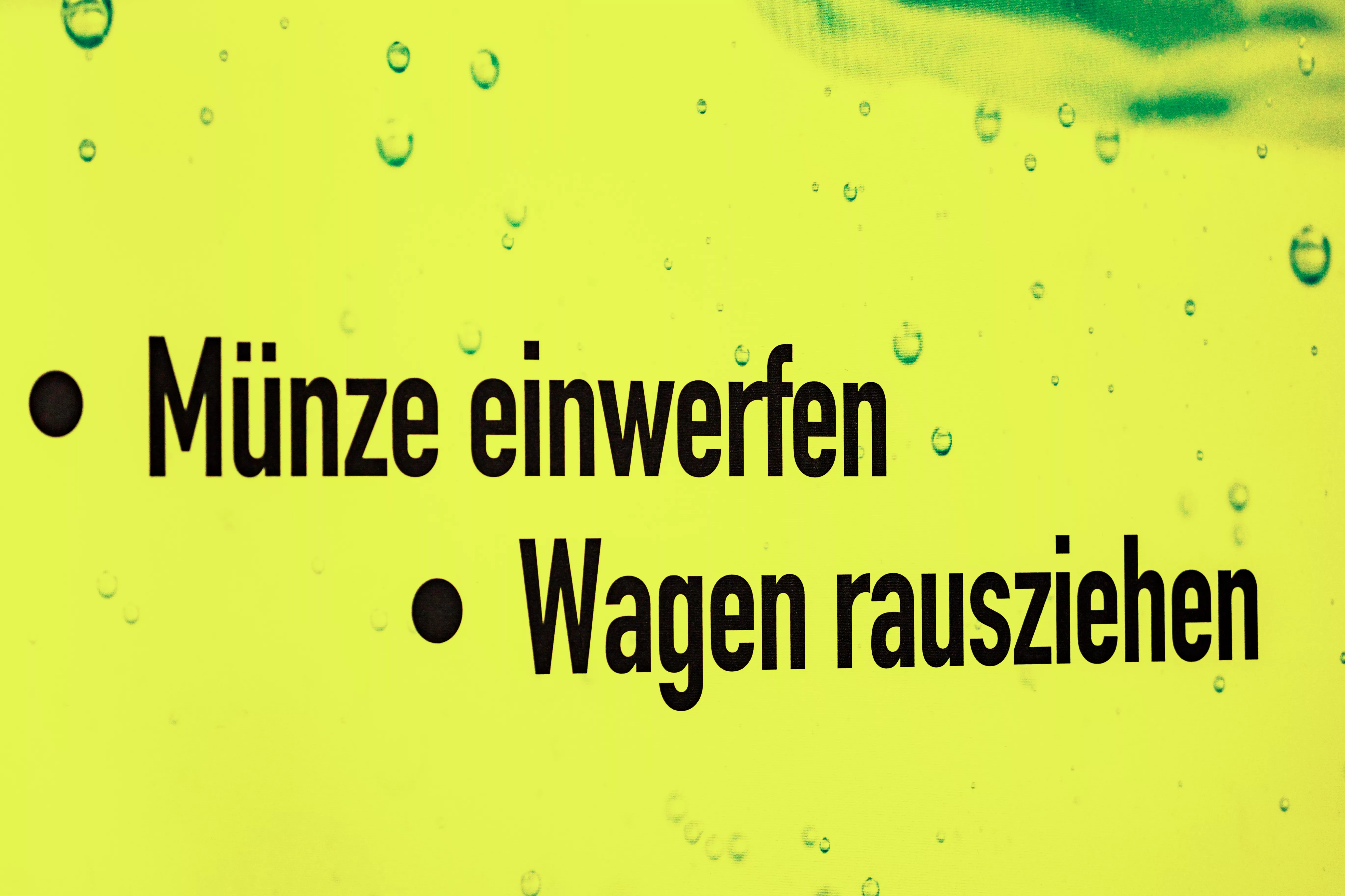 _T9A9544-Bearbeitet